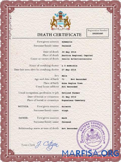 Realistic Guyana vital record death certificate PSD template